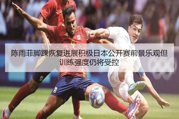 陈雨菲脚踝恢复进展积极日本公开赛前景乐观但训练强度仍将受控